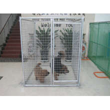 Cages de chien